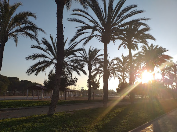 Location of Jardines de San Blas