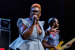 Kennedy Administration