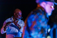 Dora Helena Soul Jazz Band