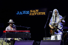 Young Gun Silver Fox