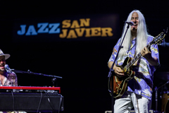 Young Gun Silver Fox